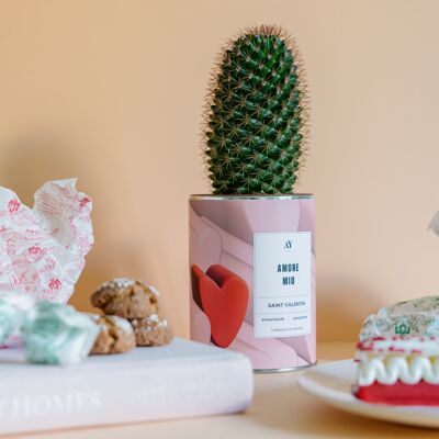AMORE MIO - Cactus (Valentine's Day exclusive)