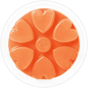 Mandarine Orange (90g Wax Melt) 2