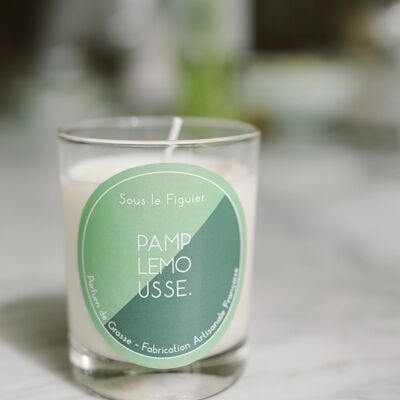 Scented Candle Under the Fig Tree Size S