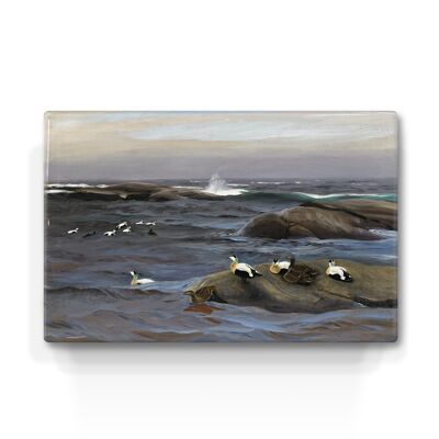 Lacquer print, Eider on rocks - Bruno Liljefors