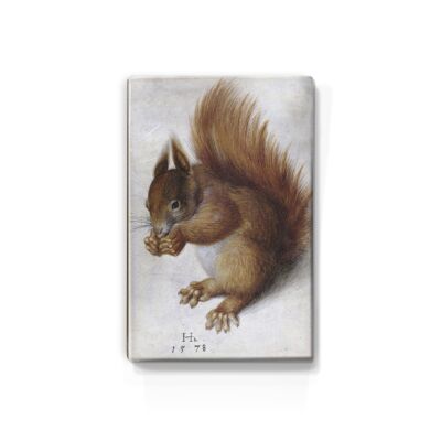 Laqueprint, Rode eekhoorn - Hans Hoffmann