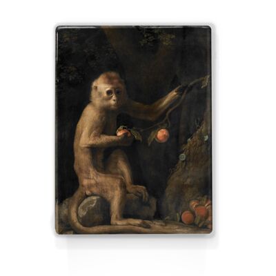 Impression laquée, Singe - George Stubbs