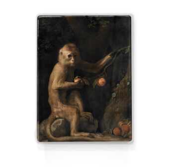 Impression laquée, Singe - George Stubbs 1