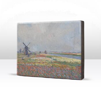 Laque, Champs de tulipes près de La Haye - Claude Monet 4