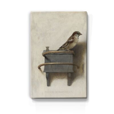 Laqueprint, House Sparrow - Emil