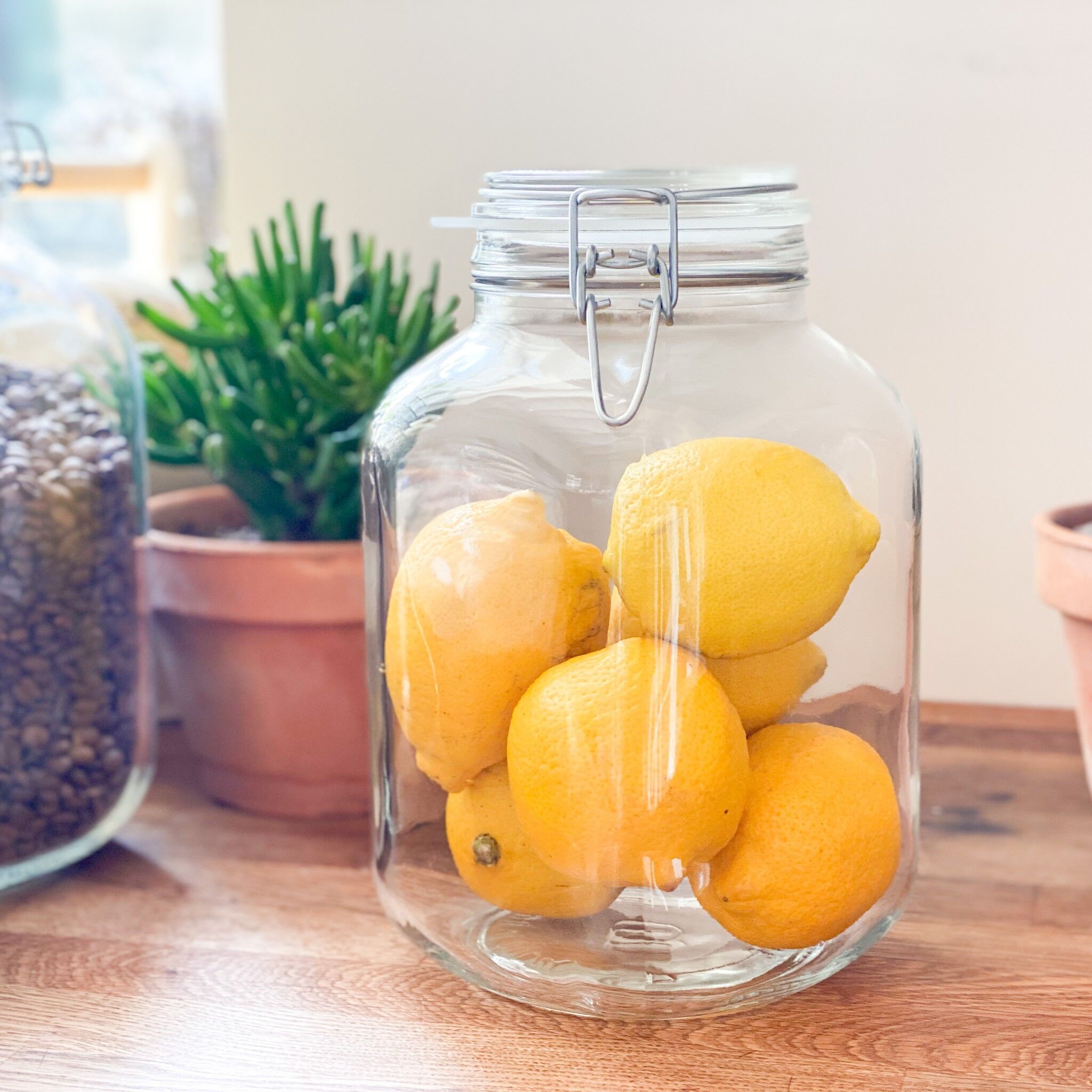 Vaso grande in vetro - Coloquinte 4250 ml