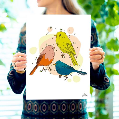 Affiche petits oiseaux - Oiseaux espiègles