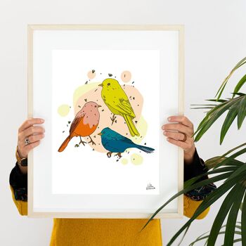 Affiche petits oiseaux - Oiseaux espiègles 3