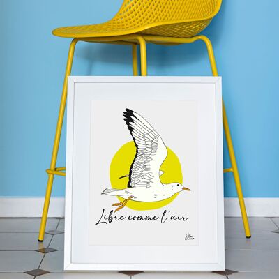 Poster mediterranean seagull south of France - Free as air