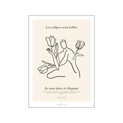 Tulpenliebhaber CIL / TULIPLOVER / 5070