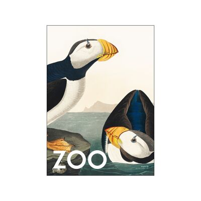 Die Zoo-Sammlung - Papageientaucher - Edt. 002 A.P / THEZOOCOLL2 / 4050