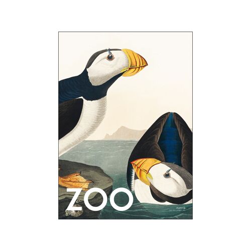 The Zoo Collection — Puffin — Edt. 002 A.P/THEZOOCOLL2/70100