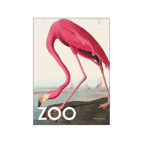 The Zoo Collection — Pink Flamingo — Edt. 002 A.P/THEZOOCOLL4/100140