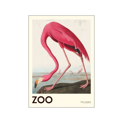 The Zoo Collection — Pink Flamingo — Edt. 001 A.P/THEZOOCOLL5/A5