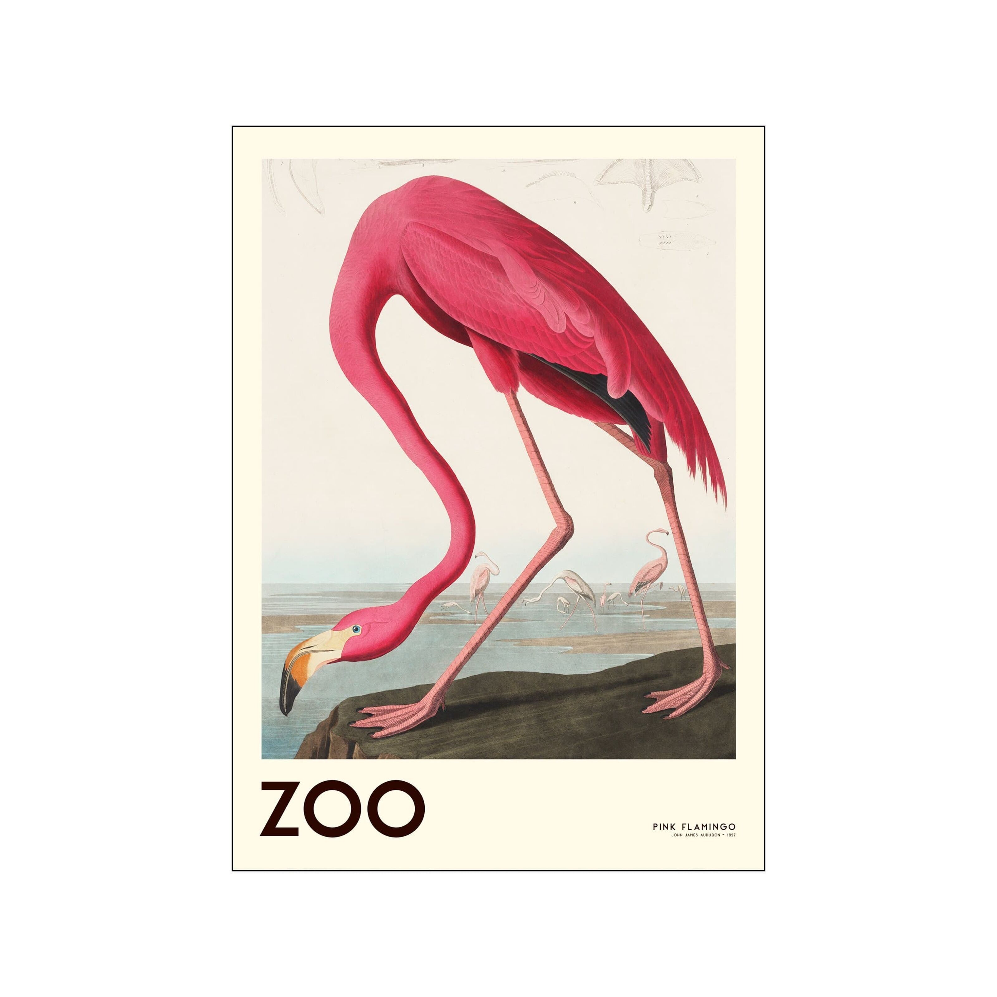 Carnet de notes flamant rose - Boutique - Zoo-refuge La Tanière