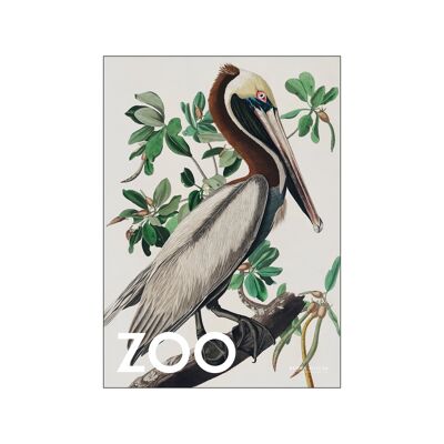 The Zoo Collection - Brauner Pelikan - Edt. 002 A.P / THEZOOCOLL6 / 4050