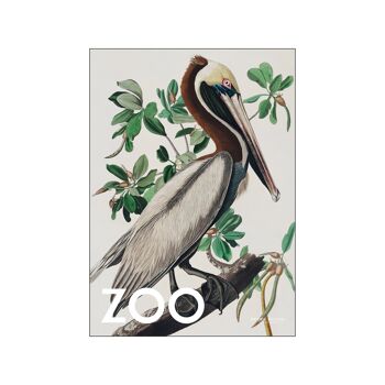 La Collection Zoo - Pélican Brun - Edt. 002 AP / THEZOOCOLL6 / 100140