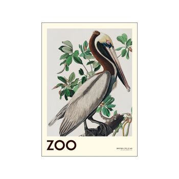 La Collection Zoo - Pélican Brun - Edt. 001 AP / THEZOOCOLL7 / 4050