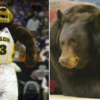 Brown and beige bear REDBROKOLY mascot in sportswear