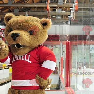 Brown bear REDBROKOLY mascot with a red and white sweater