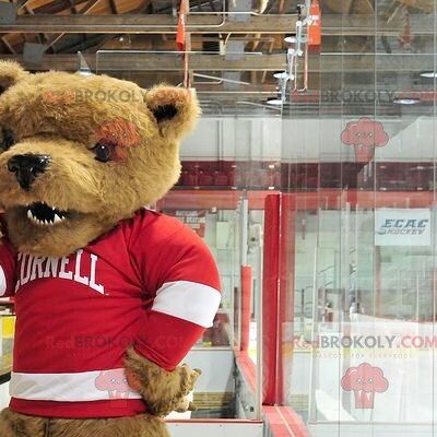 Brown bear REDBROKOLY mascot with a red and white sweater