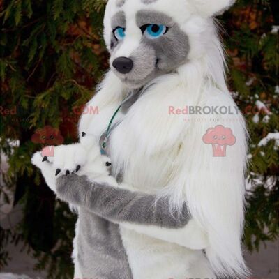 Wolf dog REDBROKOLY mascot with blue eyes