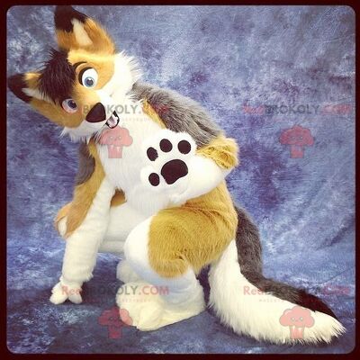 Pretty tricolor fox dog REDBROKOLY mascot
