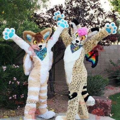 2 beautiful and colorful feline REDBROKOLY mascots