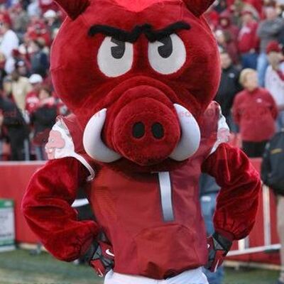 Red and white wild boar REDBROKOLY mascot
