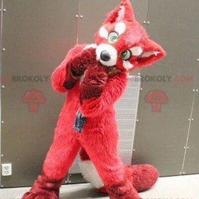 Red fox dog REDBROKOLY mascot