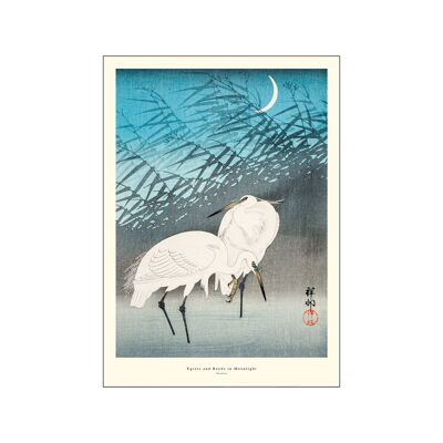 Egrets and Reeds in Moonlight A.P / EGRETSANDR / A5