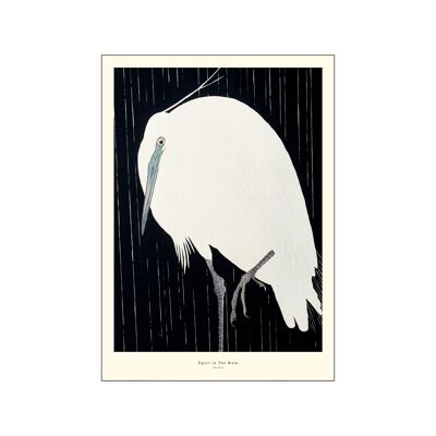 Egretin The Rain A.P/EGRETINTHE/4050