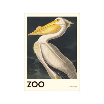 La Collection Zoo - Pélican Blanc - Edt. 001 AP / THEZOOCOLL1 / 70100