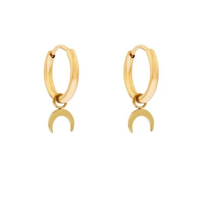 Earrings minimalistic horn - gold