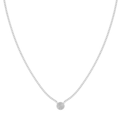 KETTING GEVLAMDE MUNT - VOLWASSEN - ZILVER