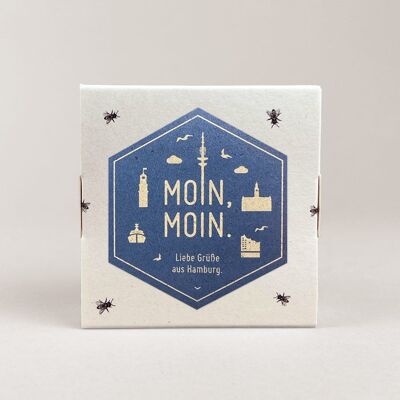 Honey Pralines / Honey Pralines 4-pack Special Edition Moin Moin Icons