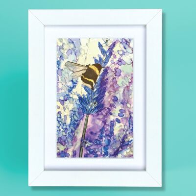 Bee on Lavender - small framed print