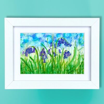 Bluebells -  small framed prints