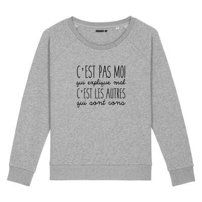 Sweatshirt "It's not me who explains badly" - Woman - Heather Gray color