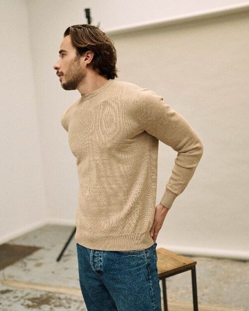 Pull col rond homme Beige