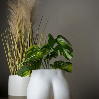 Booty Planter, Bum Plant Pot - 3D Printed Plastic, White Small