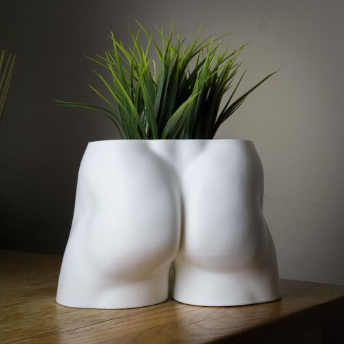 Man Booty Planter, Male Bum Plant Pot - 3D Printed PLA White Small