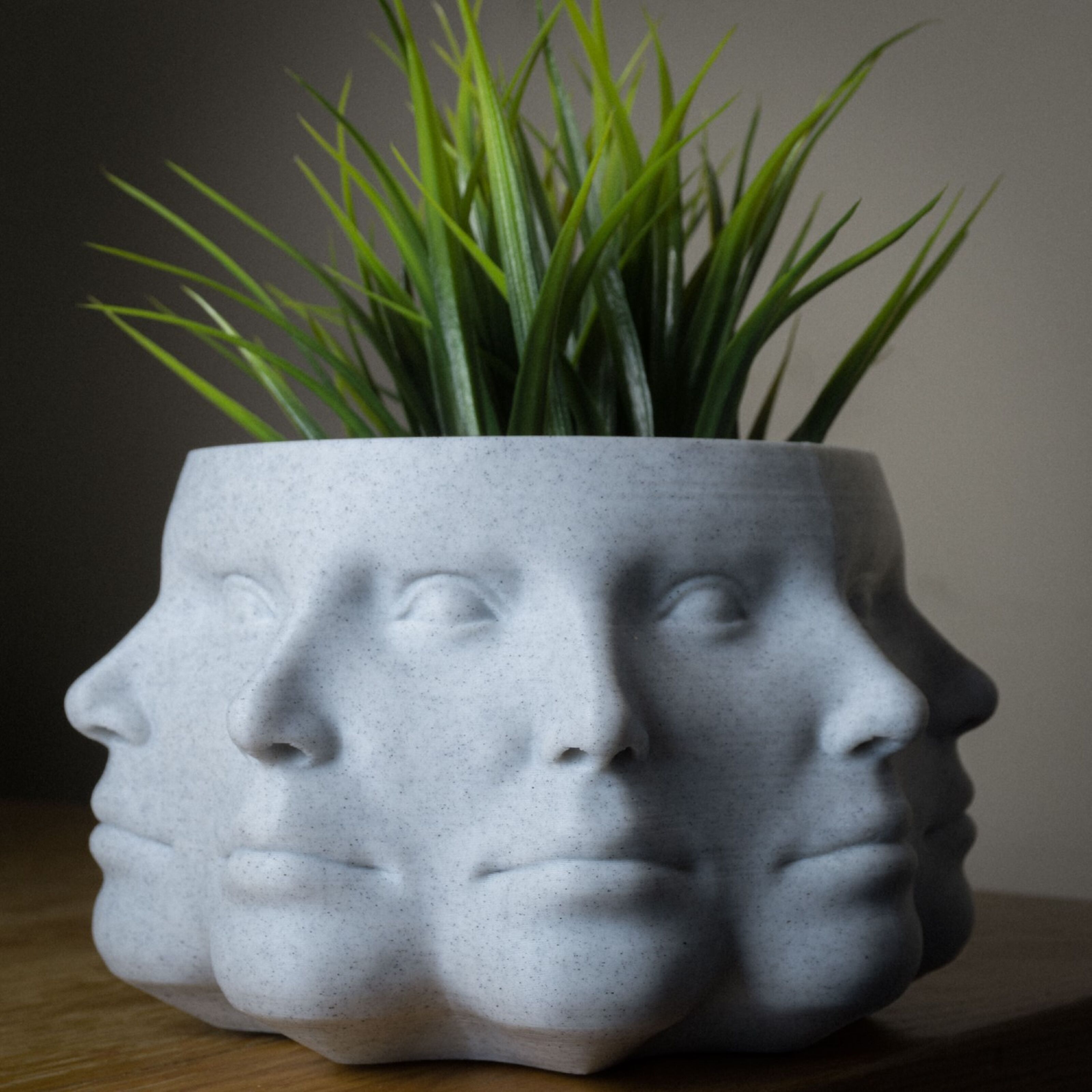 Compra Fioriera multifaccia, vaso per piante faccia - PLA stampato