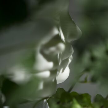 Jardinière multi-faces, pot de plantes de visage - PLA imprimé en 3D, marbre 2