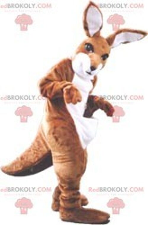 Brown and white kangaroo REDBROKOLY mascot , REDBROKO__091