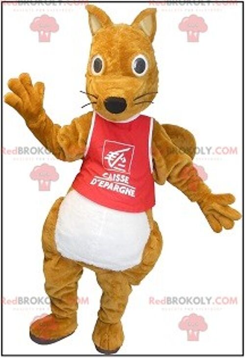 Plump and cute brown squirrel REDBROKOLY mascot , REDBROKO__0121