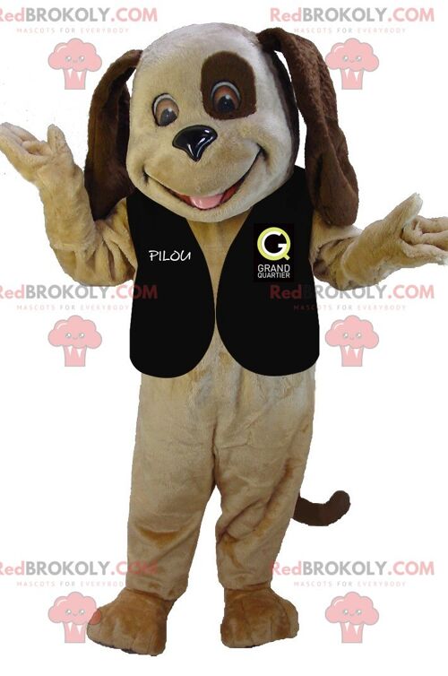 Very smiling bicolor brown dog REDBROKOLY mascot , REDBROKO__0122