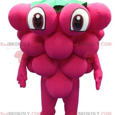 Giant bunch of grapes REDBROKOLY mascot , REDBROKO__0214