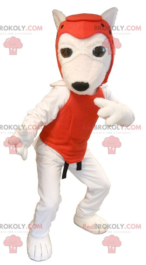 White dog REDBROKOLY mascot in taekwondo outfit , REDBROKO__0228