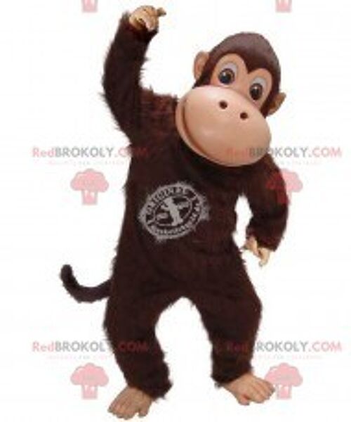 Brown chimpanzee monkey REDBROKOLY mascot , REDBROKO__0269